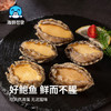 海鲜世家免处理鲍鱼纯肉 净重660g盒装 火锅烧烤食材 生鲜 贝类送礼 商品缩略图3
