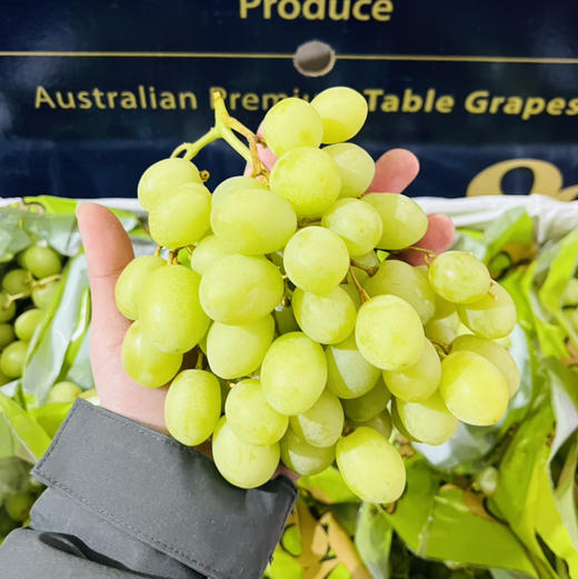 澳洲 甜地球青提  一盒5斤   (提子运输过程中摇晃可能轻微掉粒，介意慎拍~） 商品图3