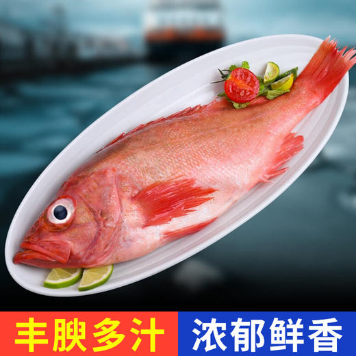 【顺丰冷链直发❗鲜冻红石斑鱼】让您足不出户吃上新鲜海味，从深海到餐桌看得见的品质，特大鲜活冷冻富贵鱼，新鲜长寿鱼东星斑L 商品图2