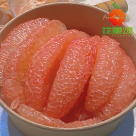 【常年爆款】精品翡翠金柚 整装 约1000g