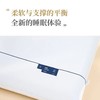「亚DUO同款式」miss lolo深睡零压力护颈记忆枕 商品缩略图9