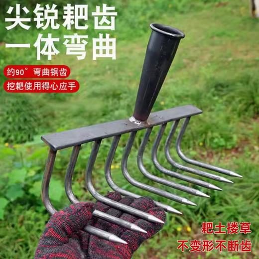 农用铁耙子平地搂草工具多功能刨地扒草农具九齿钉耙松土神器 商品图0