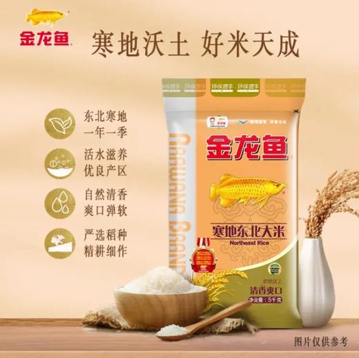 金龙鱼寒地东北大米5kg 商品图0