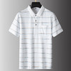 【桑蚕丝】【DPS】大依优型大码短袖POLO衫经典条纹翻领半袖体恤胖子宽松桑蚕丝中年男士 商品缩略图3