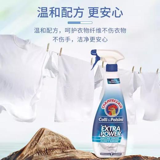 大公鸡管家 衣领净 商品图1