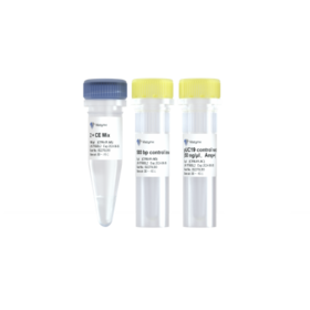 ClonExpress Ultra One Step Cloning Kit V2