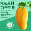 【鲜记】芒果干 388g 博士帽罐装 商品缩略图2