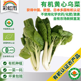 彩虹雨 北京配送 新鲜有机蔬菜 黄心乌菜250g 欧盟认证 京津冀满百包邮
