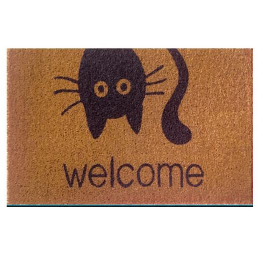 众立丝圈入户门地垫 商品图1