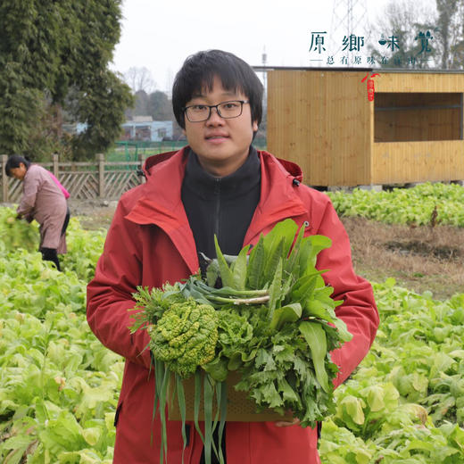 【份额/单次】生态蔬菜包（农场直发-顺丰包邮）| 4.5斤/箱，6斤/箱，单次体验/月度份额/年度份额【原乡农场，自产自销】【下单请先阅读注意事项】 商品图10