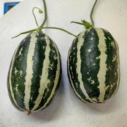 【宅享装】羊角蜜·1个·1斤左右 商品图4