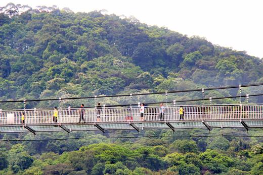 4月23日人间四月天，赏雪醉动颜，走进二龙山，看最美油桐花1天 商品图9