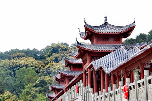 4月23日人间四月天，赏雪醉动颜，走进二龙山，看最美油桐花1天 商品图8