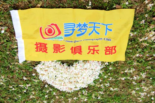 4月23日人间四月天，赏雪醉动颜，走进二龙山，看最美油桐花1天 商品图10