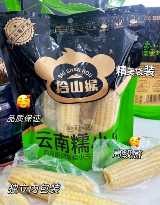 【云南糯小白】新品上市💥甜糯升级，美味爆棚🌽更甜更糯更好吃！好吃到爆炸 ✅西双版纳四季种植新鲜直供🥳人工精选5⃣小时急速锁鲜 商品图0
