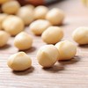 每日伊藤夏威夷果仁260g 商品缩略图3