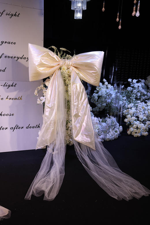 公主蝴蝶结（运费自理） 商品图5