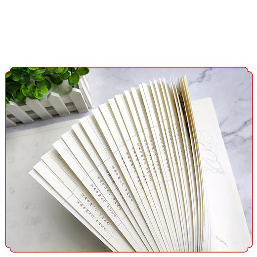 国画白描礼盒 循序渐进 由简入深的练习 内容丰富 一书多用 商品图3