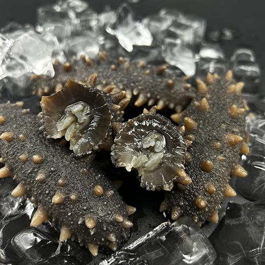 辽海元鲜食海参 单斤4头 参王 商品图2