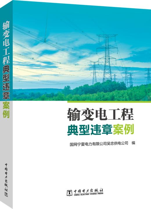 输变电工程典型违章案例 商品图0