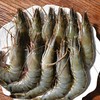 伊藤品质黑虎虾 600g/盒 商品缩略图1