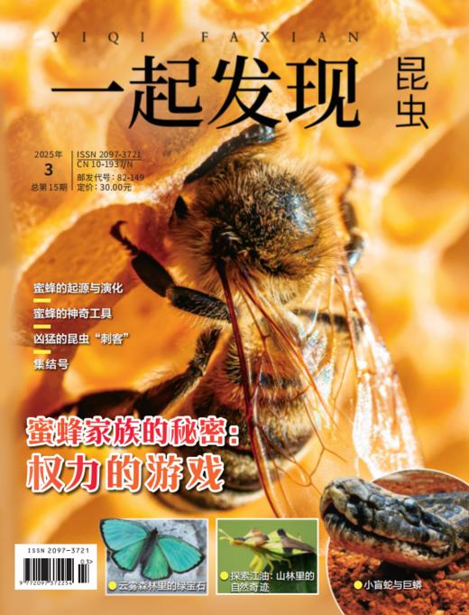 2025年《一起发现》全年10本一次发出 商品图5