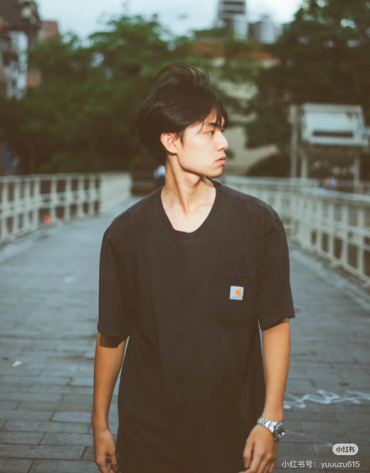 Carhartt卡特短袖t恤 商品图11