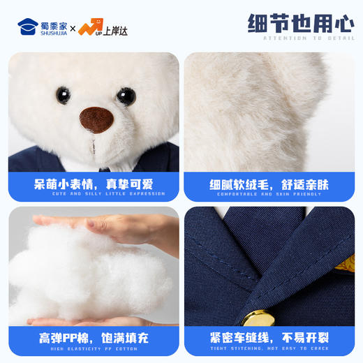 【机长&空姐站姿熊】可定制创意毛绒职业小熊公仔儿童玩具服装可脱送礼礼物 商品图6