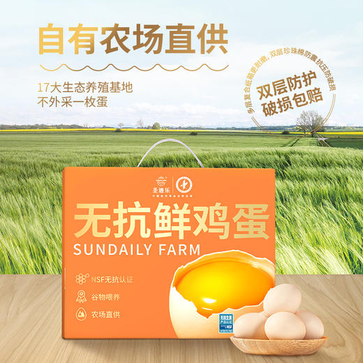 圣迪乐无抗鲜鸡蛋20枚【圣迪乐】JCT 商品图1