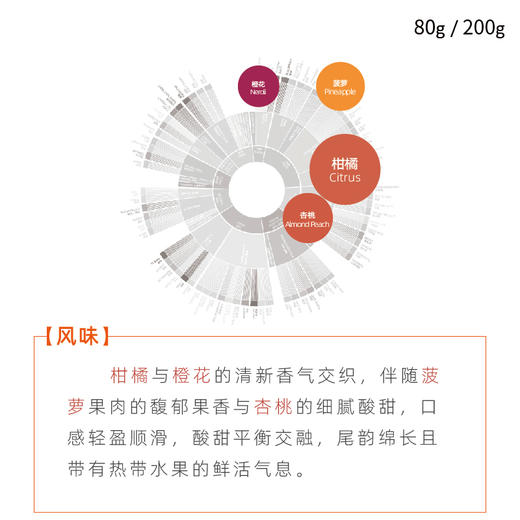 巴拿马极光庄园卡塔丽娜绿顶瑰夏日晒手冲咖啡豆 商品图1
