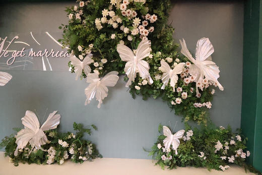 荧光蝴蝶3件套（运费自理） 商品图6