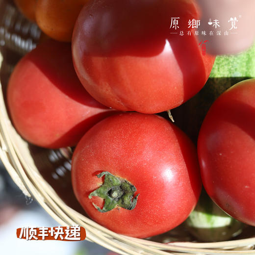 【预售，排单发货】攀枝花生态番茄/西红柿（基地直发-顺丰快递）｜2/4/4.5斤装，来自四川攀枝花，生产者：许桂云【合作生产，公平贸易】 商品图2
