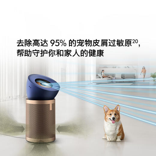 戴森BP04空气净化风扇 商品图2