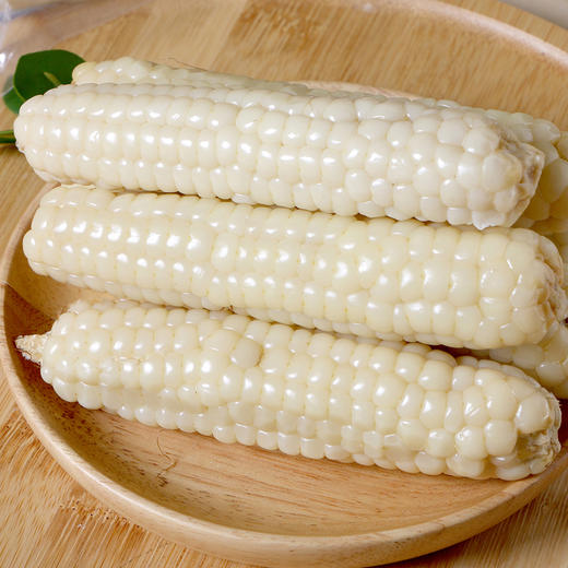 拇指小玉米600g 商品图7