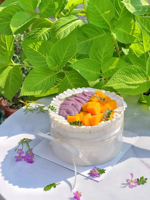 春日缤纷简约鲜果蛋糕A款 商品图0