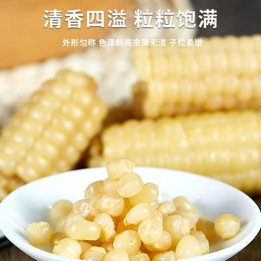 云南香土故事拇指玉米1kg 商品图1