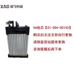 【拍1发2】到店更换 极飞 V6电芯 适配B13970 咨询下单 农机配件