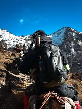 鸟 Arro 22 Backpack金色刺绣双肩背包 Z-15057