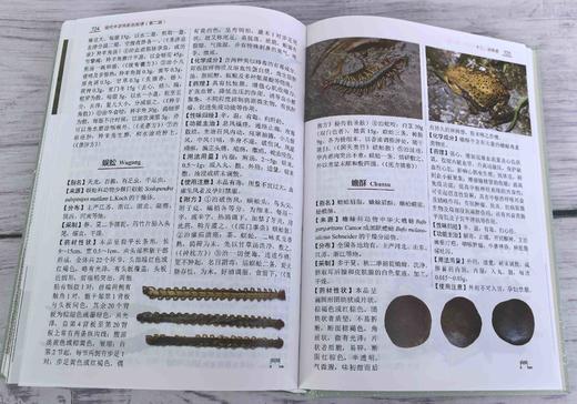 现代中草药彩色图谱（第二版） 商品图3