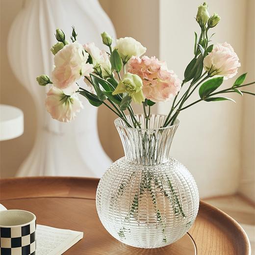 【双色3种规格可选】娜家圆球形轻奢高级感玻璃花瓶 商品图3