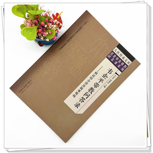 韦企平带教问答录:病证结合论治疑难眼病 韦企平 孙艳红 主编 中国中医药出版社 大医传承文库 名老中医带教问答录系列 商品图1