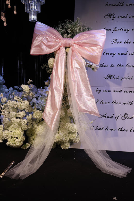 公主蝴蝶结（运费自理） 商品图2