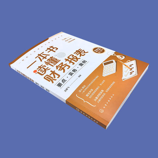 一本书读懂财务报表：要点·实务·案例 商品图1