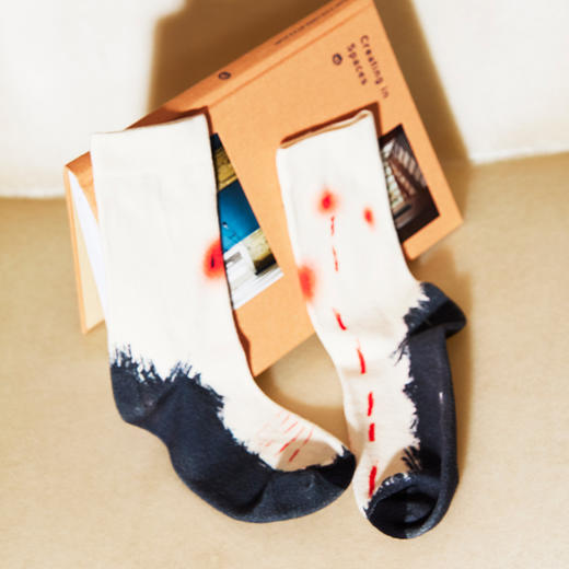 JUDYHUA X 王玉平【鱼】联名款袜子 商品图0