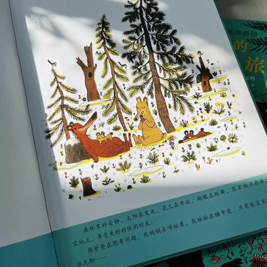 《追小熊的熊爸爸》精装3册 商品图2