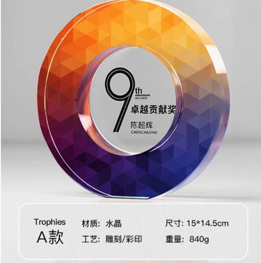 水晶奖杯定制定做高档创意彩印刻字荣誉奖牌年会优秀员工颁奖订制 商品图7