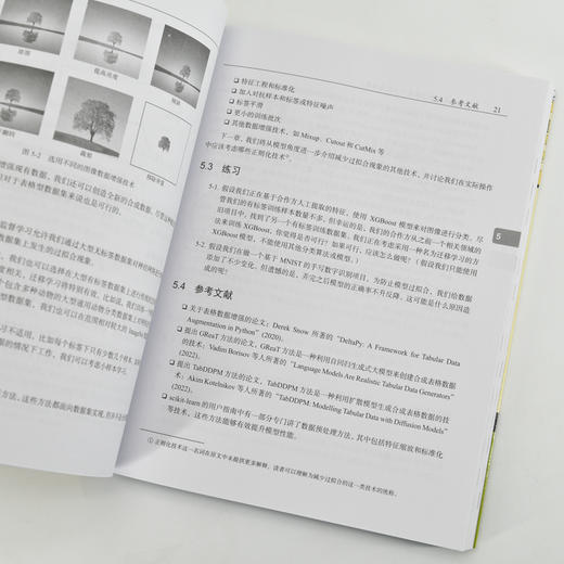 大模型技术30讲 大模型制作应用与开发deepseek模型开发人工智能机器学习深度学习LLM提示工程师 商品图3