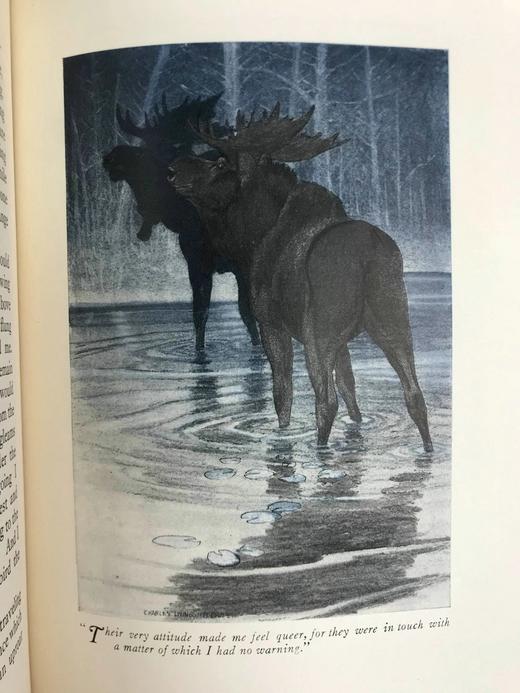 1920年 林地居民喜剧 8幅彩色插图 漆布精装18开 商品图10