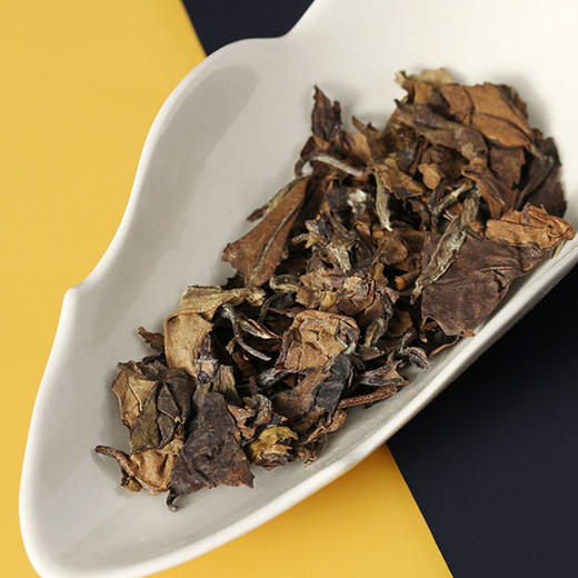 大廷工坊 | 长城砖 福鼎白茶 商品图3