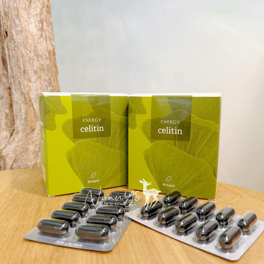 【畅通脑经络  补充脑营养  根源养脑】银杏胶囊90粒 捷克 ENERGY安能聚 商品图3